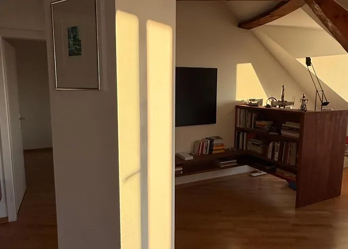 Charmant Appartement Sous Les Toits